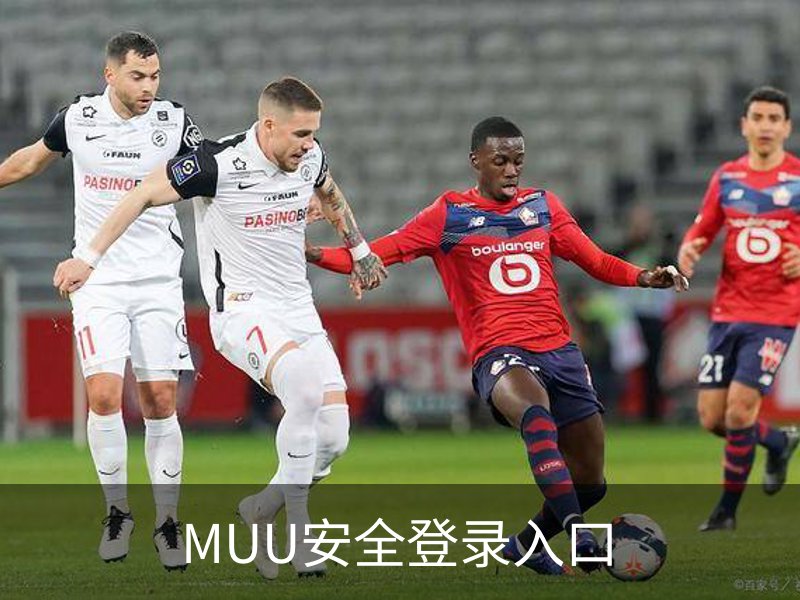 MUU安全登录入口品牌故事